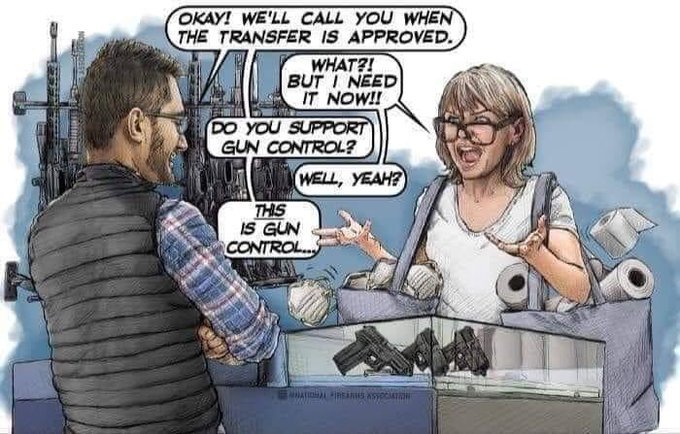 gun store background check tweet cartoon