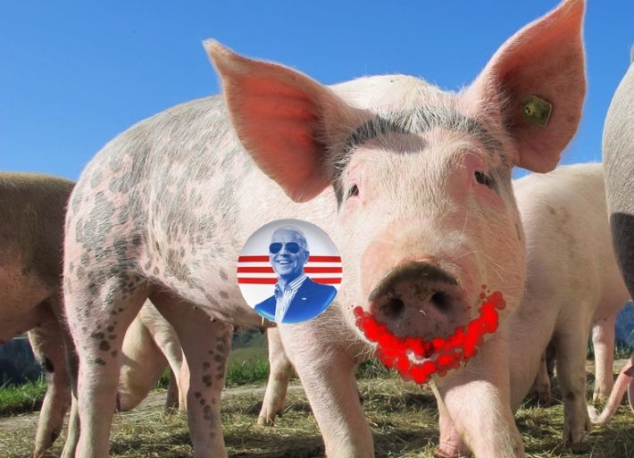 Biden lipstick on a pig