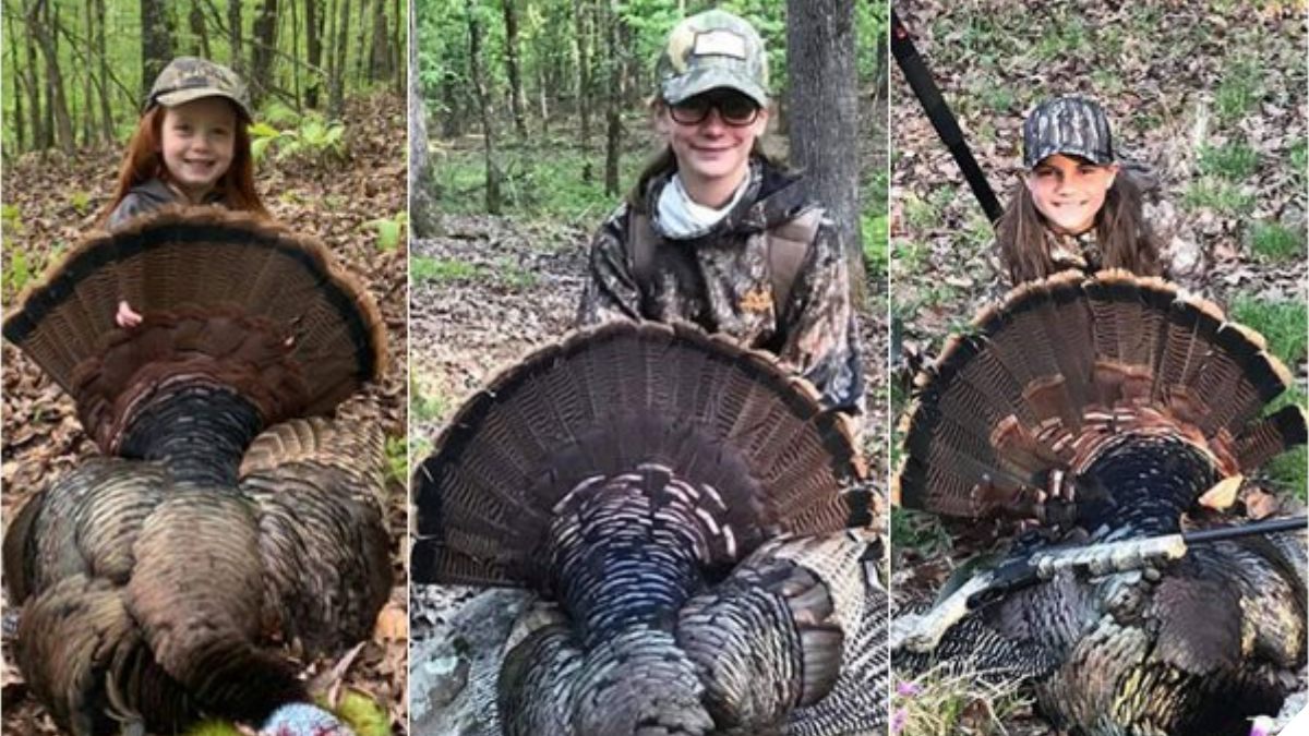 Arkansas Youth Turkey Hunt up 27, Bags 882 Birds USA Gun Blog