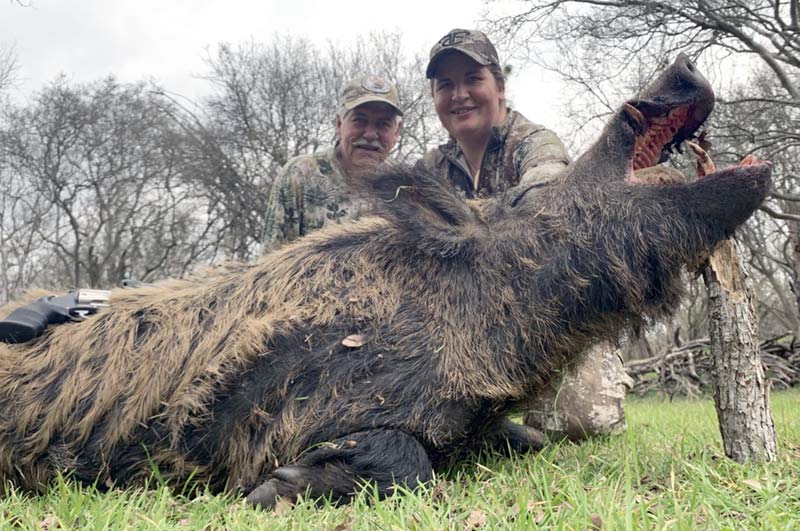 Massive Feral Hogs Invading Canada Pigloos