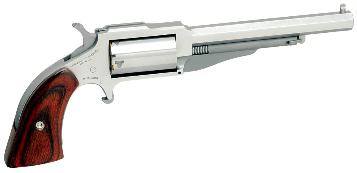 North American Arms Earl 1860 series