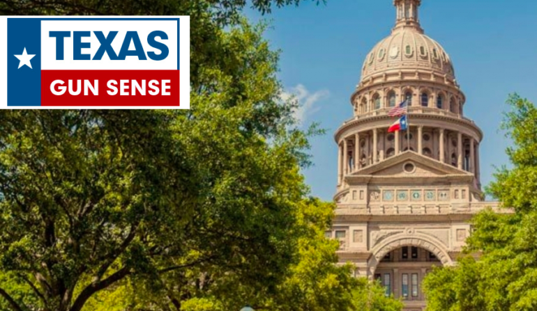 Texas Gun Sense