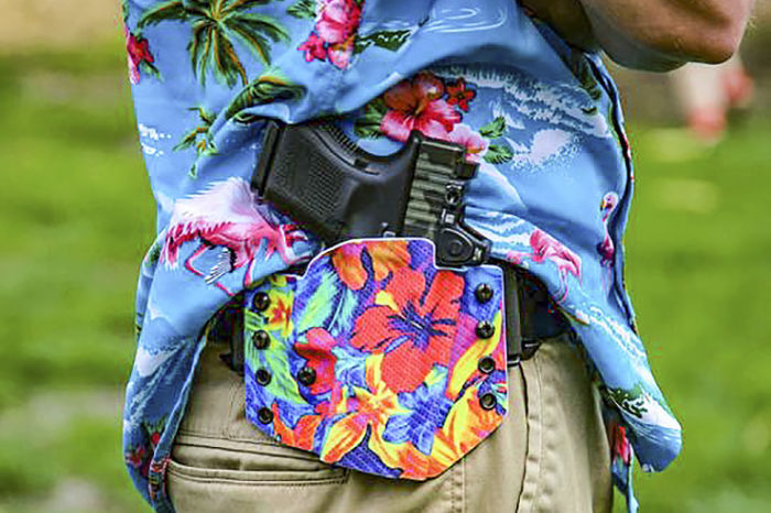 Federal District Court Rules Two Hawaii Gun Control Laws Violate the Second Amendment