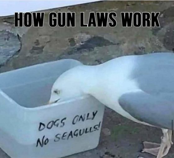 Gun Meme of the Day: Seagulls [And Other Criminals] Don’t Obey The Law Edition