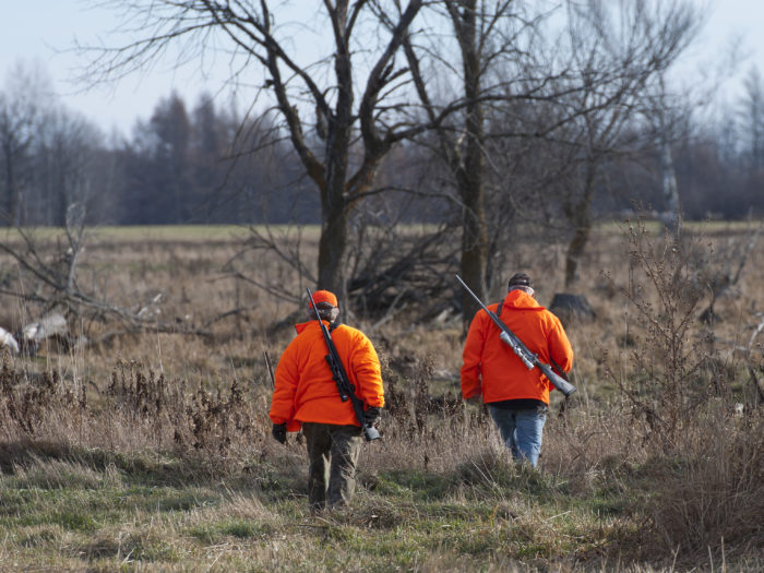 Center for Biological Diversity Suit Seeks to Kill Off Hunting on 2.3 Million Acres of Public Land…Because Science!