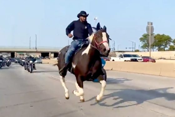 Chicago Mayor Lightfoot’s ‘Census Cowboy’ Sentenced To Year in Jail For Animal Abuse At Anti-Gun Protest