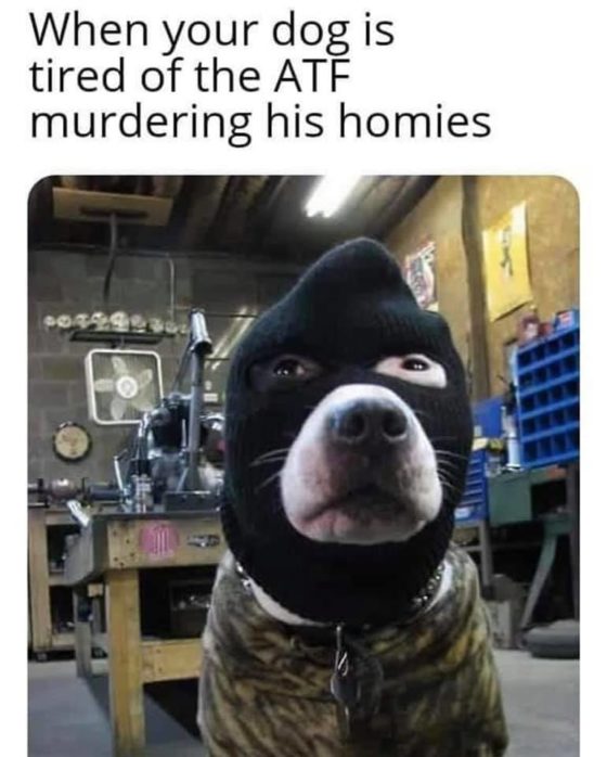 Gun Meme of the Day: Doggo’s Barking Back Edition