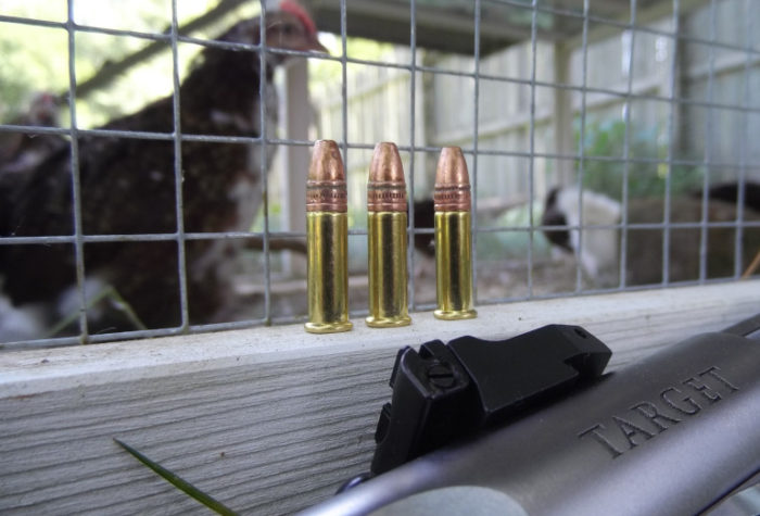 Calibers for Beginners: .22LR