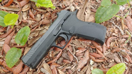 Gun Review: SIG P210 Carry