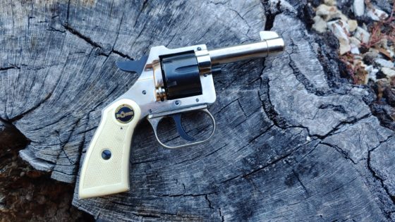 Obscure Object of Desire: Rohm RG10 Rimfire Revolver