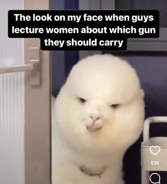 Gun Meme of the Day: Alpaca What I Want Edition