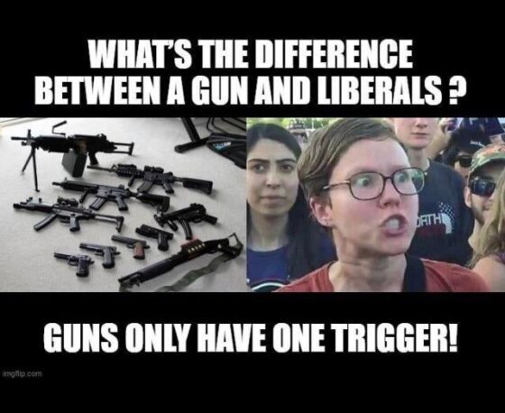 Gun Meme of the Day: All The Triggers Edition