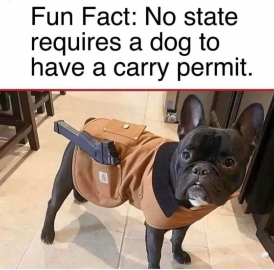 Gun Meme of the Day: Strapped Pups Edition