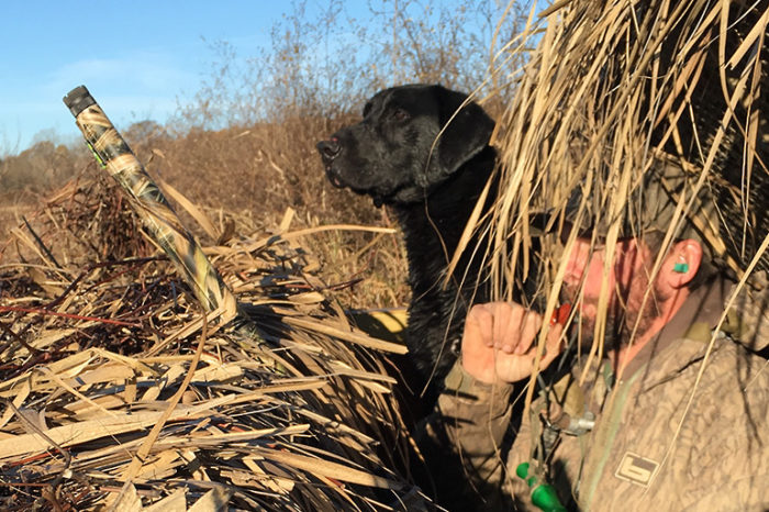 Trending Up: The Number of Hunters in the US Increased 26 Percent in the Last Five Years