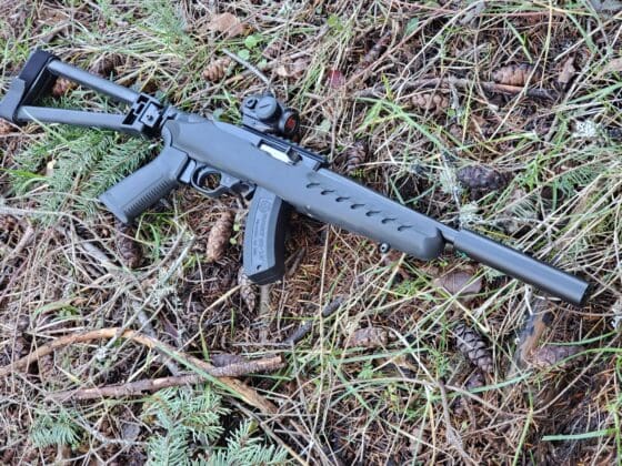 Ruger 22 Charger Review